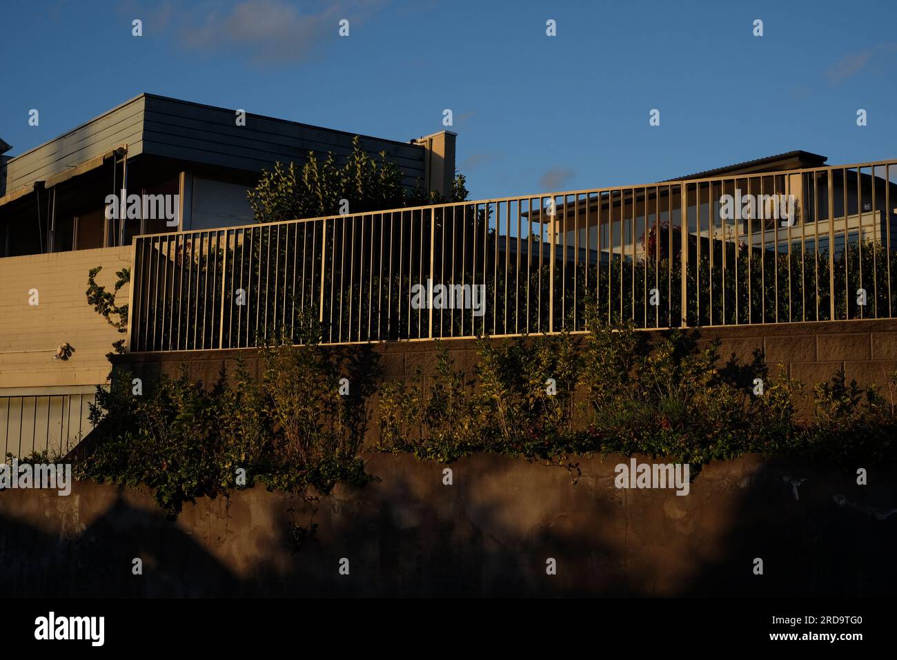 Rechteckige Box bildet sich im späten Nachmittagslicht, eine Terrasse, ein Metallgeländer, erhöhte Vorhöfe moderner Häuser in Vaucluse, Sydney Stockfoto