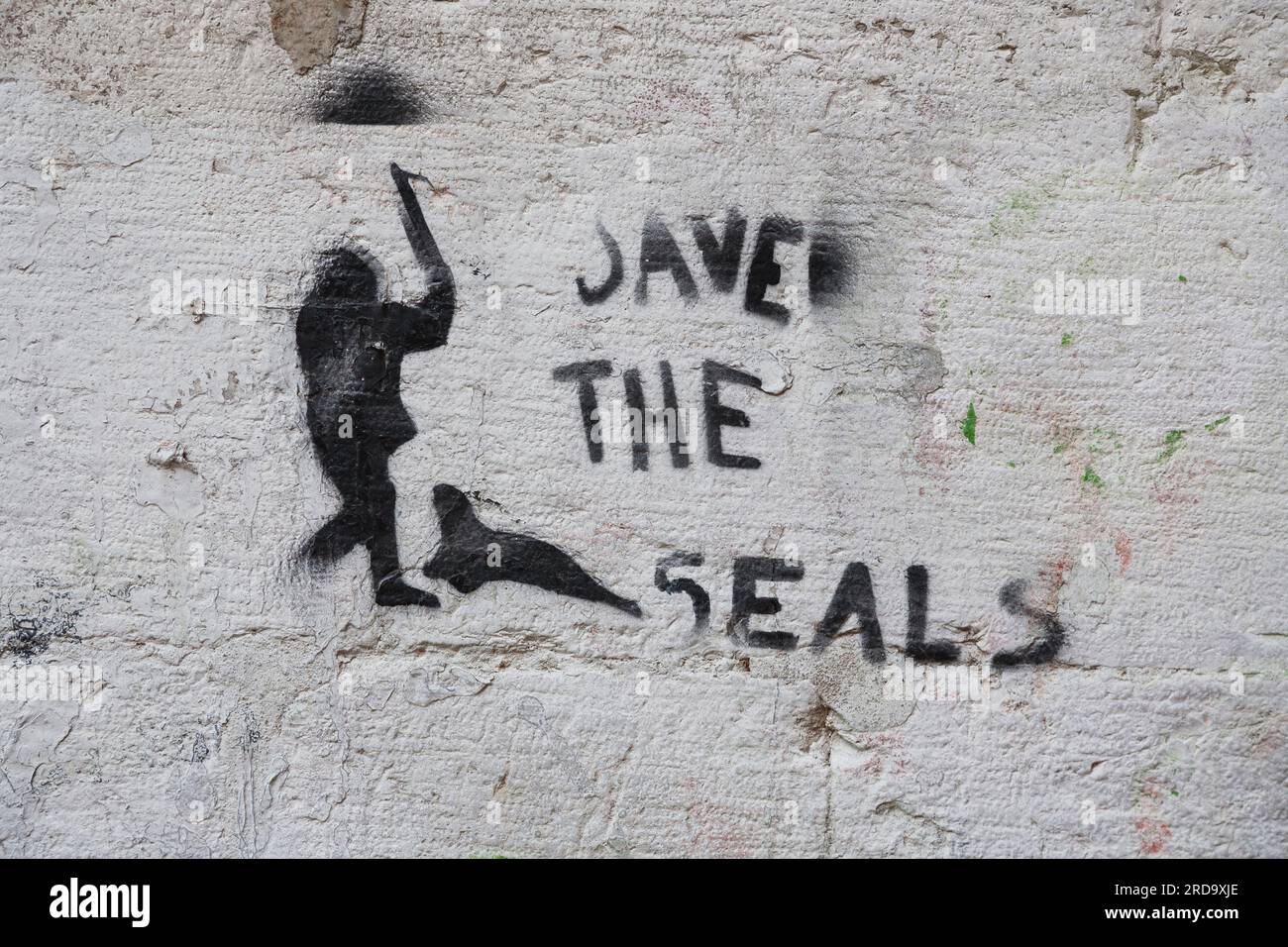 Rette die Robben-Graffiti an einer Venedig-Mauer Stockfoto