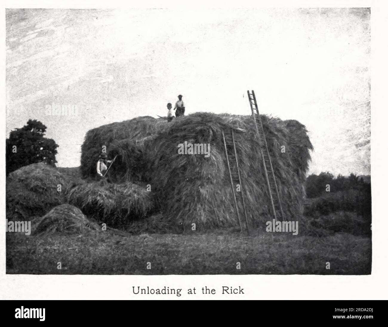 Entladen beim Rick Schwarzweißfoto aus dem Buch " among English hedgerows " von Clifton Johnson, 1865-1940 Publication date 1899 reprinted in 1914 Publisher New York : The Macmillan co.; London, Macmillan and co., ltd. Stockfoto