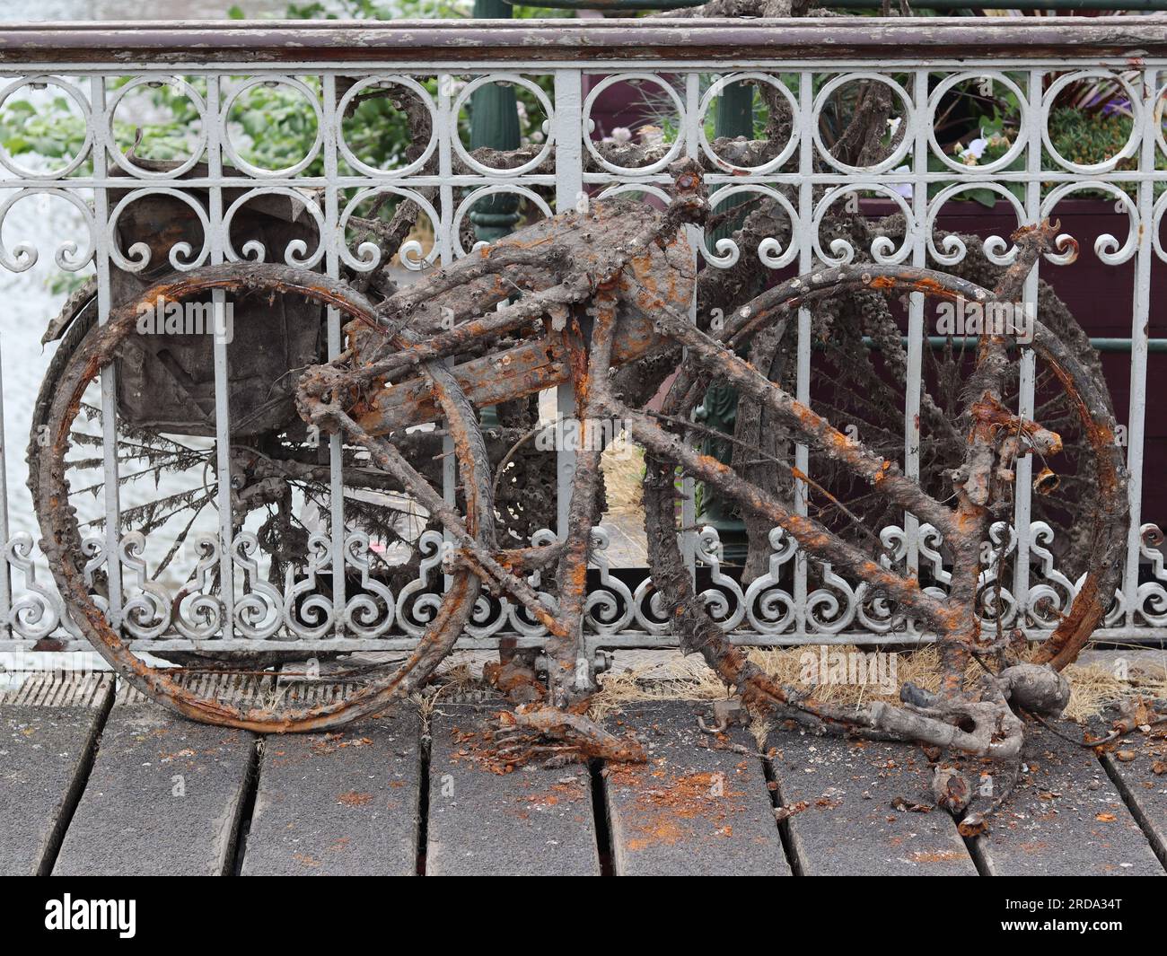 Rusty Bicycle auf der Spanjaardsbrug-Brücke in Rotterdam, Niederlande Stockfoto