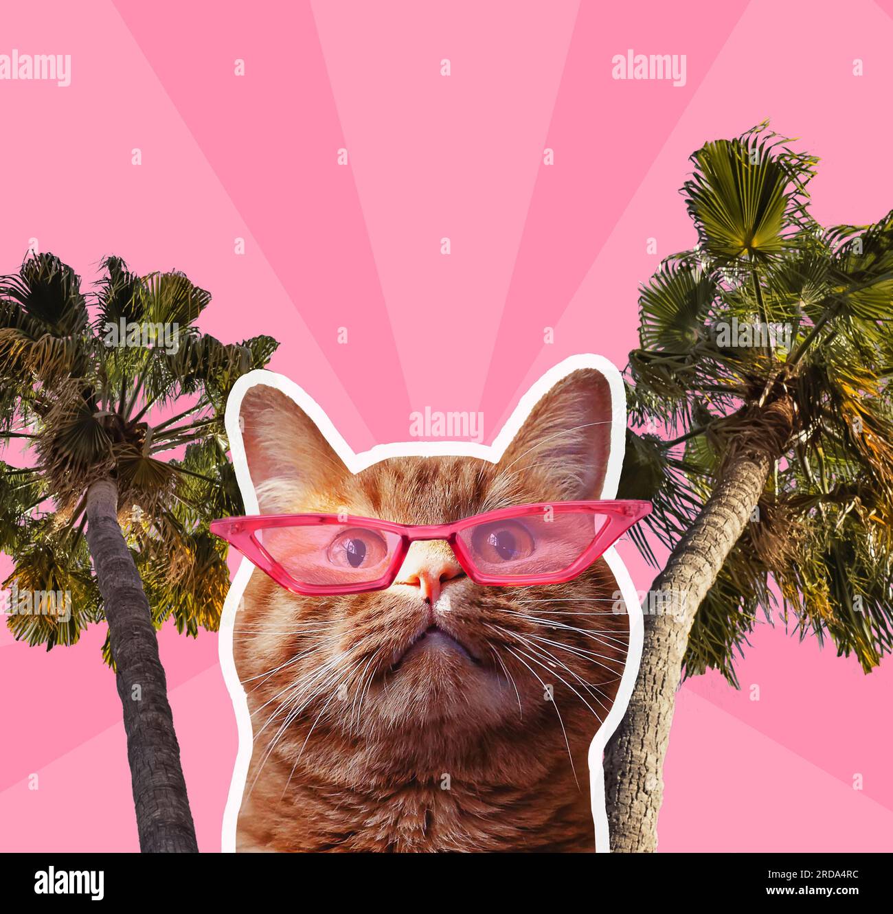 Kreative digitale Kunstcollage mit lustiger Ingwerkatze in Sonnenbrille und Handfläche, Sommerkonzept Stockfoto