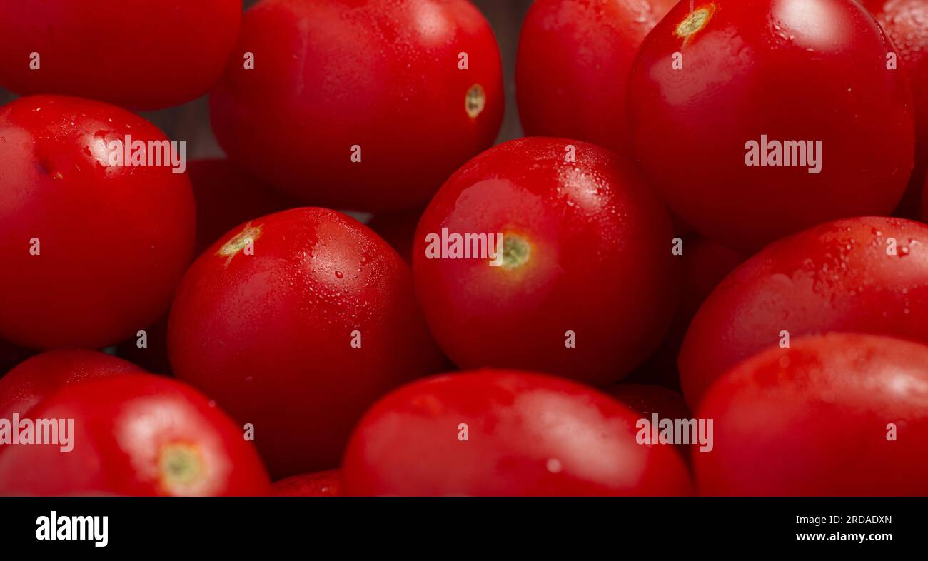 Viele frische reife Tomaten mit Tropfen Tau. Nahhintergrund mit Struktur roter Herzen mit grünen Schwänzen. Frische Kirschtomaten mit grünem Urlaub Stockfoto