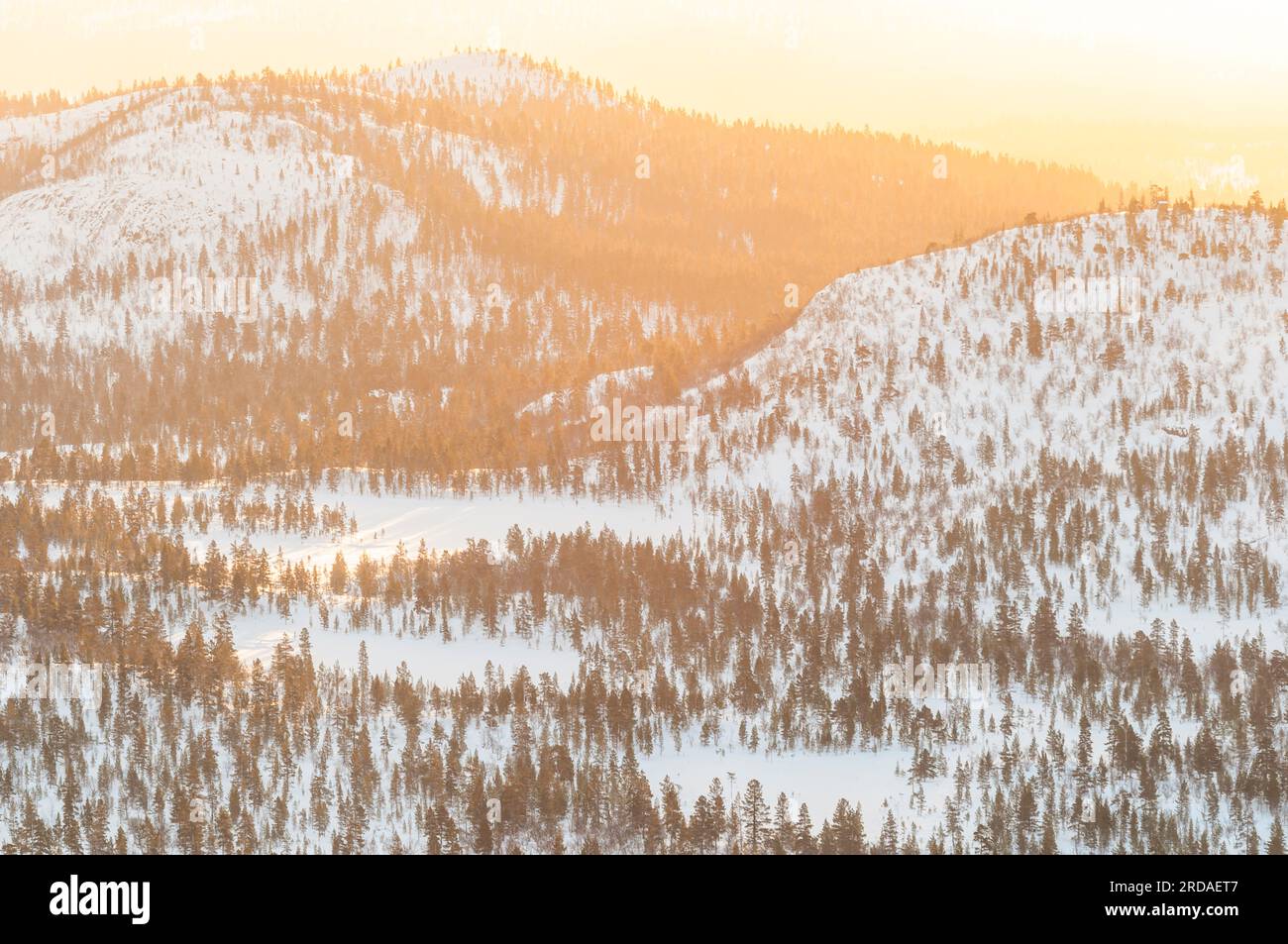 Ruhige Winterlandschaft in Norwegen: Schneebedeckte Bäume, Berge und ruhiger Sonnenuntergang. Stockfoto
