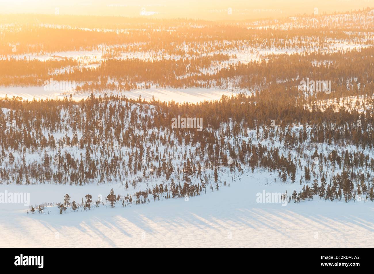 Ruhige Winterlandschaft in Norwegen: Schneebedeckte Bäume, Berge und ruhiger Sonnenuntergang. Stockfoto