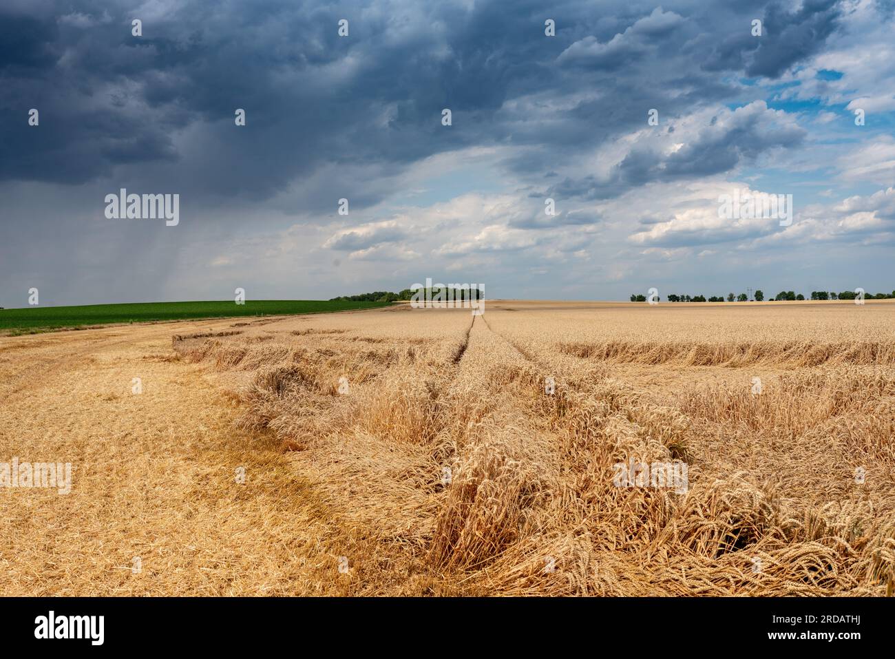 Ein Blick über Felder in Richtung kleiner bewaldeter Hügel mit einer bemerkenswerten niederpaläolithischen Ausgrabungsstätte Přezletice - Zlatý kopec, Tschechische republik. Stockfoto