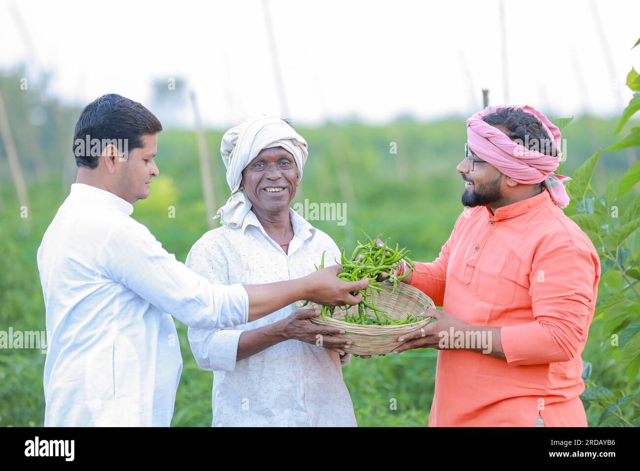 Bauer zeigt grünen Chilikorb, fröhliche Landwirtschaft, erntet grüne Chili Stockfoto
