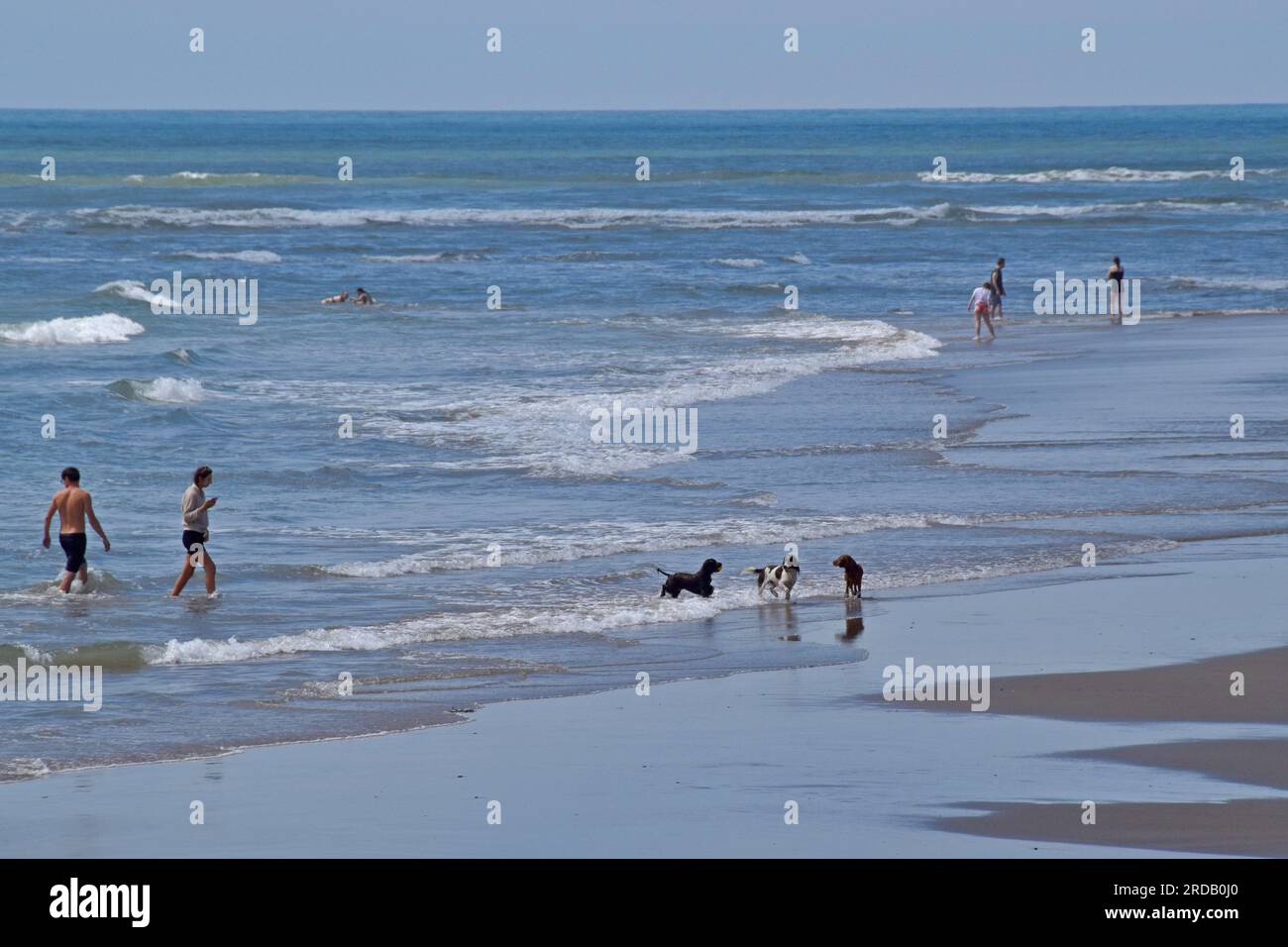 Leute mit Hunden am Strand in Barmouth, Gywnedd, Juli 2023 Stockfoto