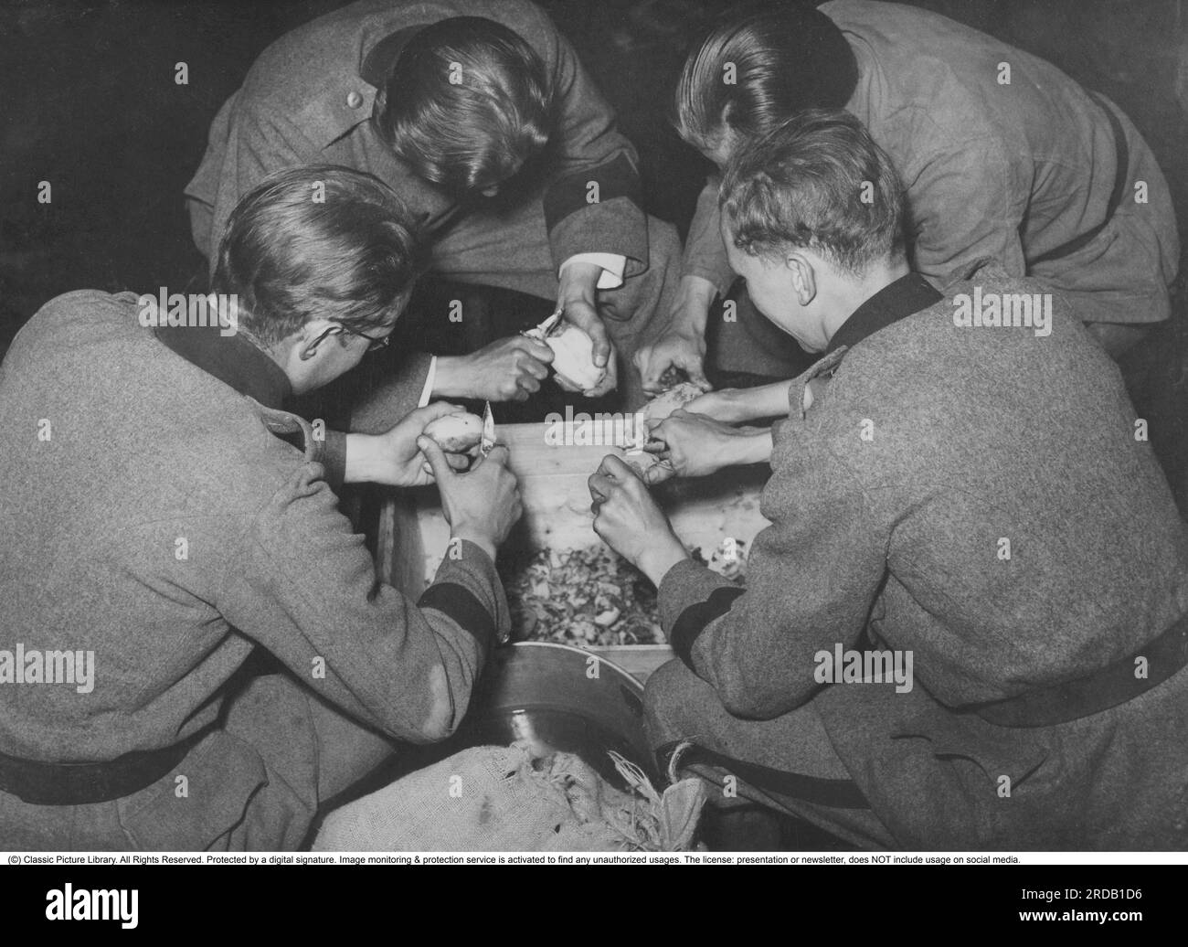 Der zweite Weltkrieg in Schweden. Schwedische Soldaten irgendwo in Schweden. Hier schälen vier junge Soldaten, die Küchendienst erhalten haben, Kartoffeln. Ein Job, der normalerweise keine beneidenswerte Arbeit war, sondern eher als Strafe angesehen wird. Schweden 1942 Stockfoto