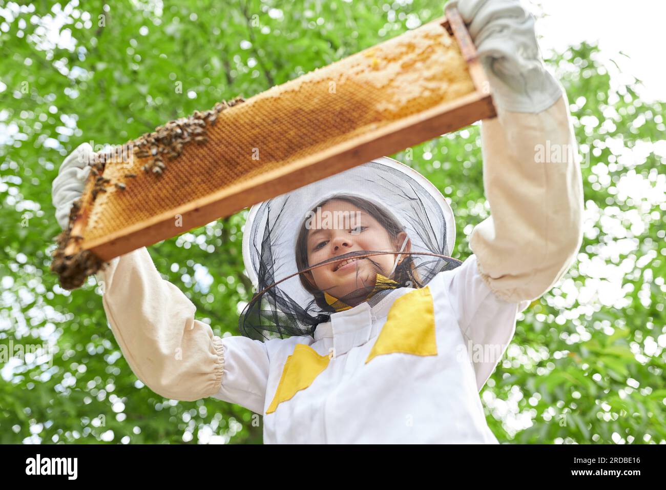 Kleinwinkelporträt eines Mädchens, das den Wabenrahmen mit Honigbienen untersucht, während es im Bienengarten steht Stockfoto