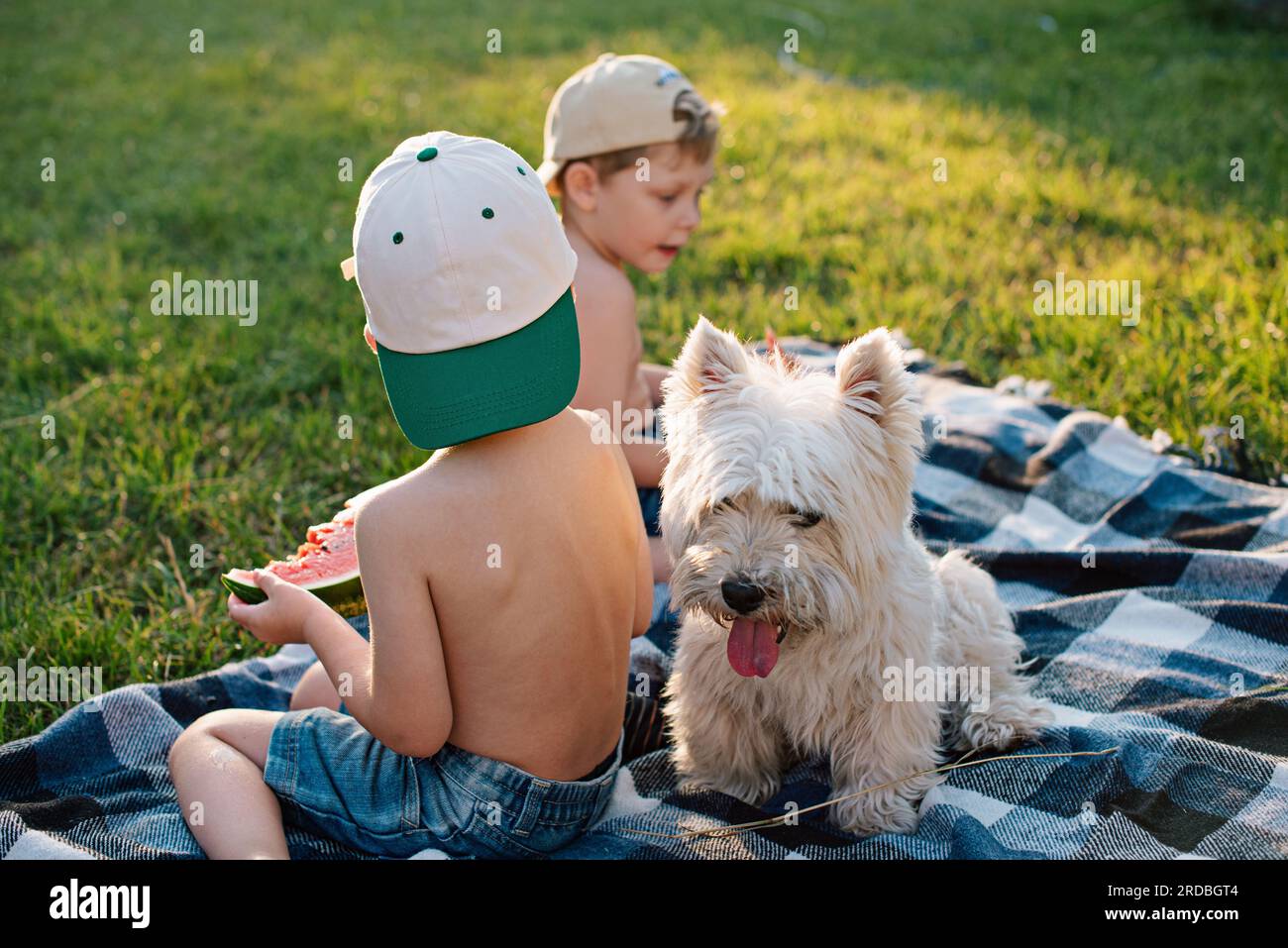 Jungs mit einem Hund West Highland White Terrier essen Wassermelone auf dem Garten Rasen. Stockfoto