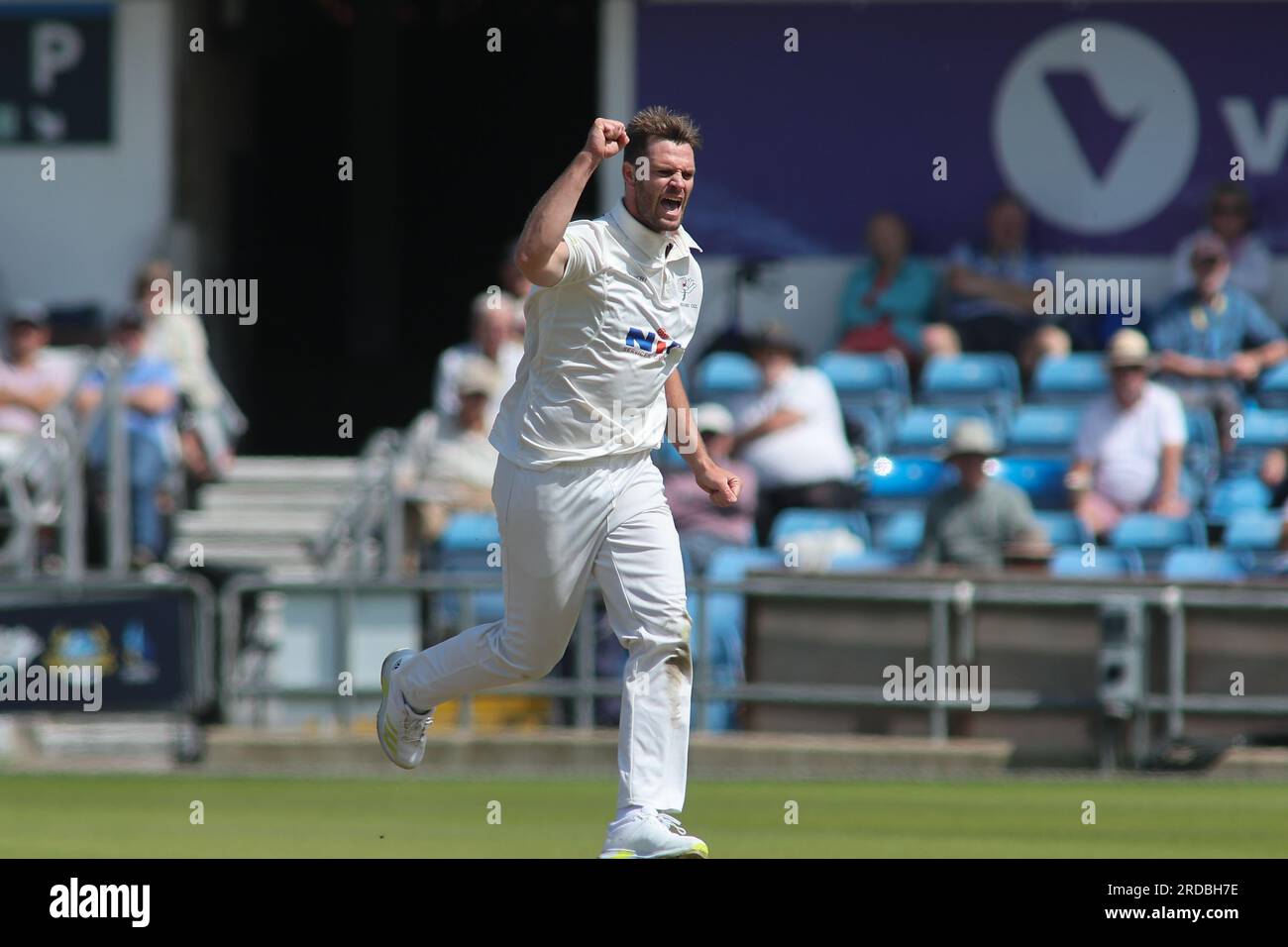 Clean Slate Headingley Stadium, Leeds, West Yorkshire, Großbritannien. 20. Juli 2023. Yorkshire County Cricket Club gegen Sussex County Cricket Club im LV= Insurance County Championship Clash am 2. Tag im Clean Slate Headingley Stadium. Der Yorkshire County Cricket Club Mark Steketee feiert das Bowling von Sussex's Nathan McAndrew. Kredit: Touchlinepics/Alamy Live News Stockfoto