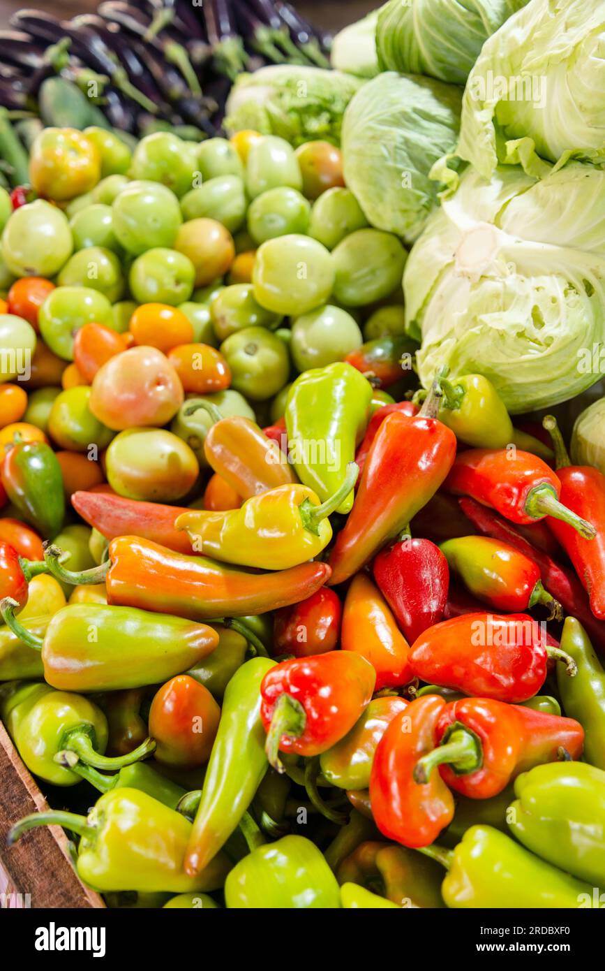 Lokal hergestelltes philippinisches Gemüse, Kopfsalat, grüne und rote Paprika, Karotten und Auberginen, sorgfältig arrangiert und gestapelt und zum Verkauf in einem lokalen Cov Stockfoto