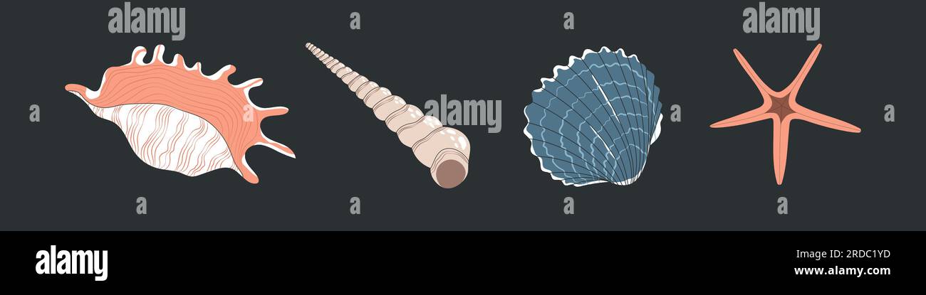 Cartoon Muscheln, Austern und Muscheln. Stock Vektor