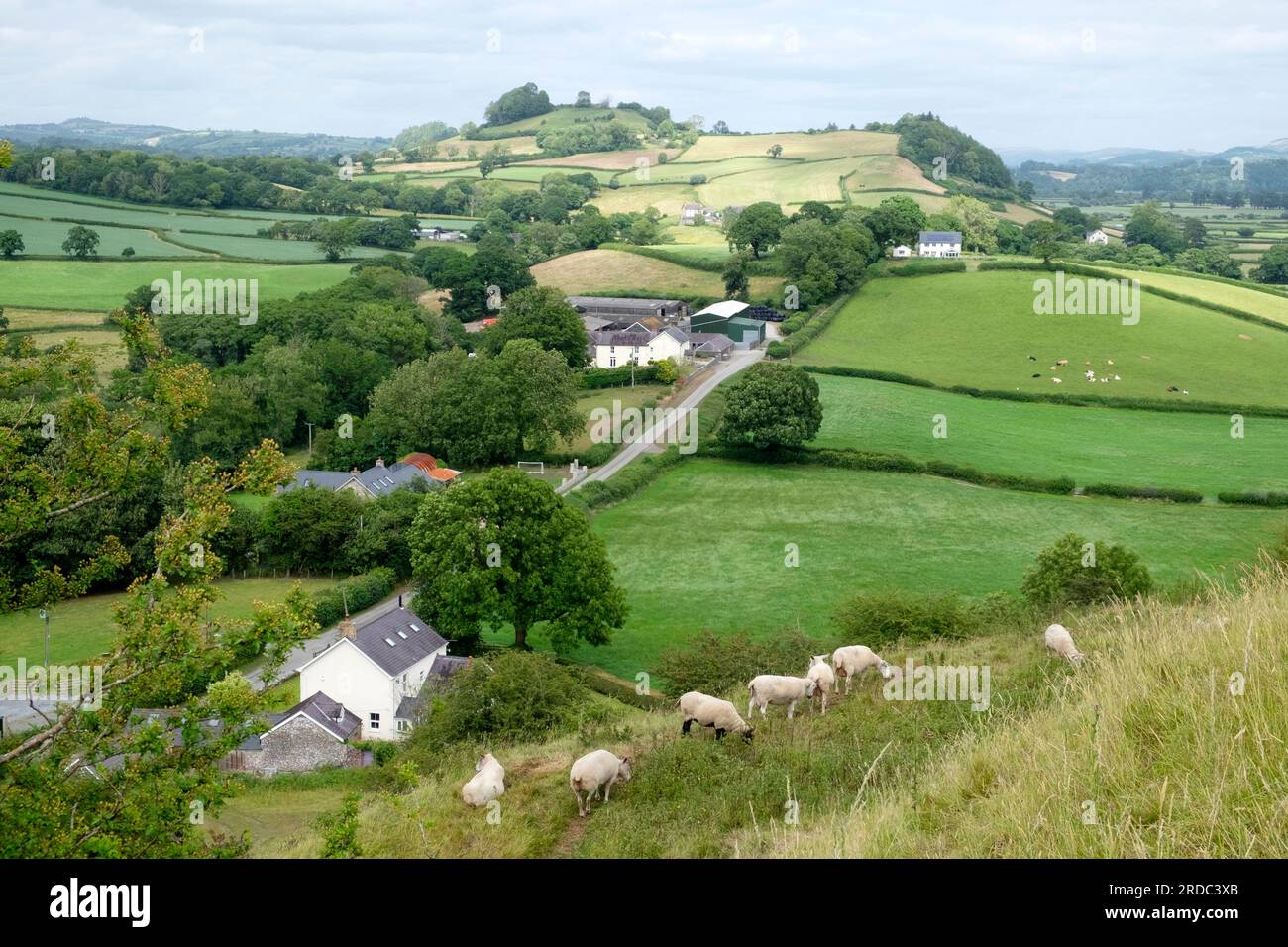 Blick auf die Landschaft des Towy Valley im Juli-Sommer vom Dryslwyn Castle Hill in Carmarthenshire Wales, Großbritannien, KATHY DEWITT Stockfoto