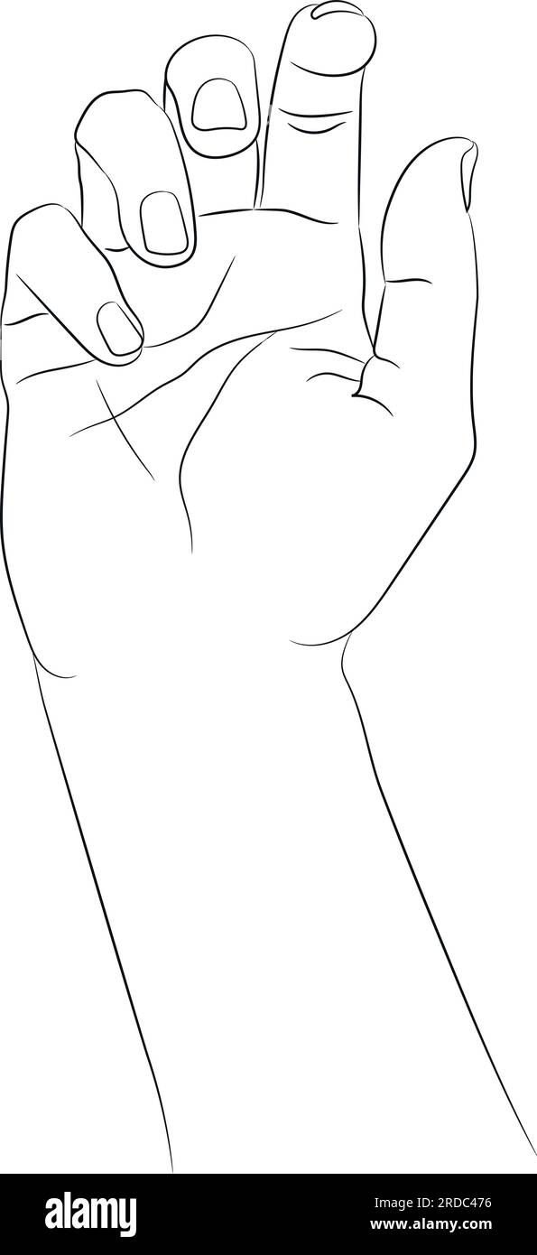 Handgezogene Hand. Leere Kontur auf weißem Hintergrund isoliert. Handgezeichnete weibliche Handskizze. Schwarzer Umriss auf weißem Hintergrund. Vektordarstellung Stock Vektor