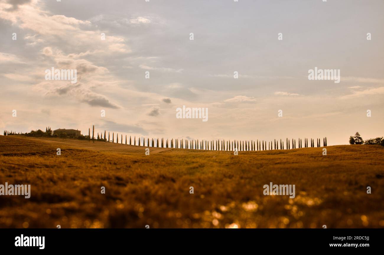 Land Val d'Orcia Stockfoto