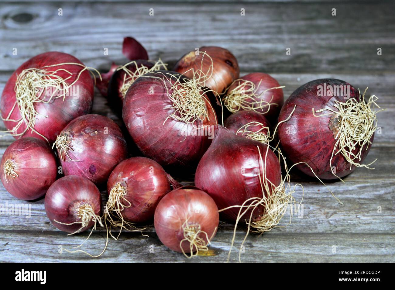 Ein Haufen roter Zwiebeln, lila oder blauer Zwiebeln, Zwiebelkultivare (Allium cepa), lila-rote Haut und weißes Fleisch mit roter Note. Das sind sie Stockfoto