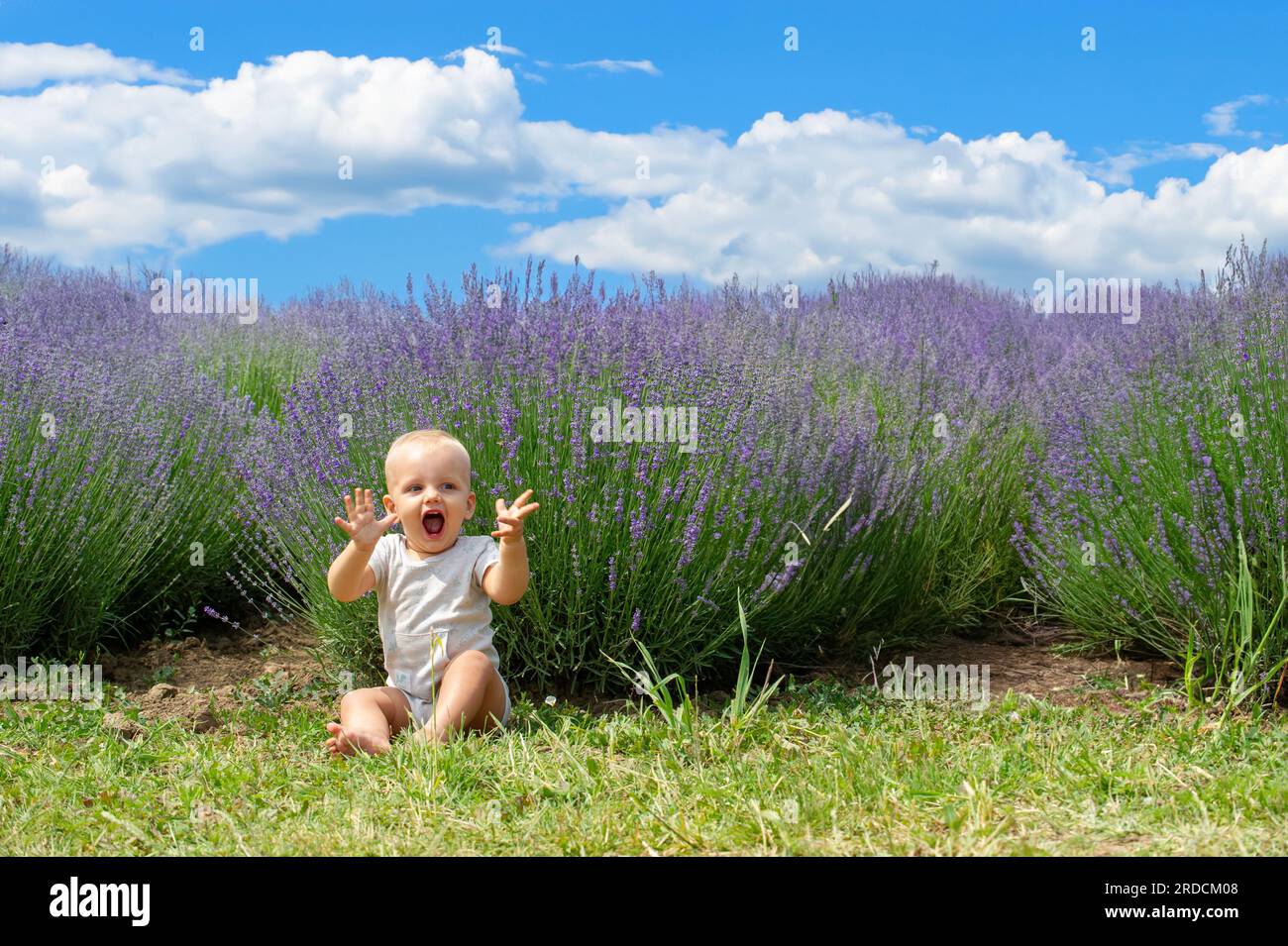 Ihr Baby drückt seine Freude aus, indem es die Hände hebt, während es sich hinsetzt und sich im Hintergrund befindet, ist ein Lavendelfeld Stockfoto