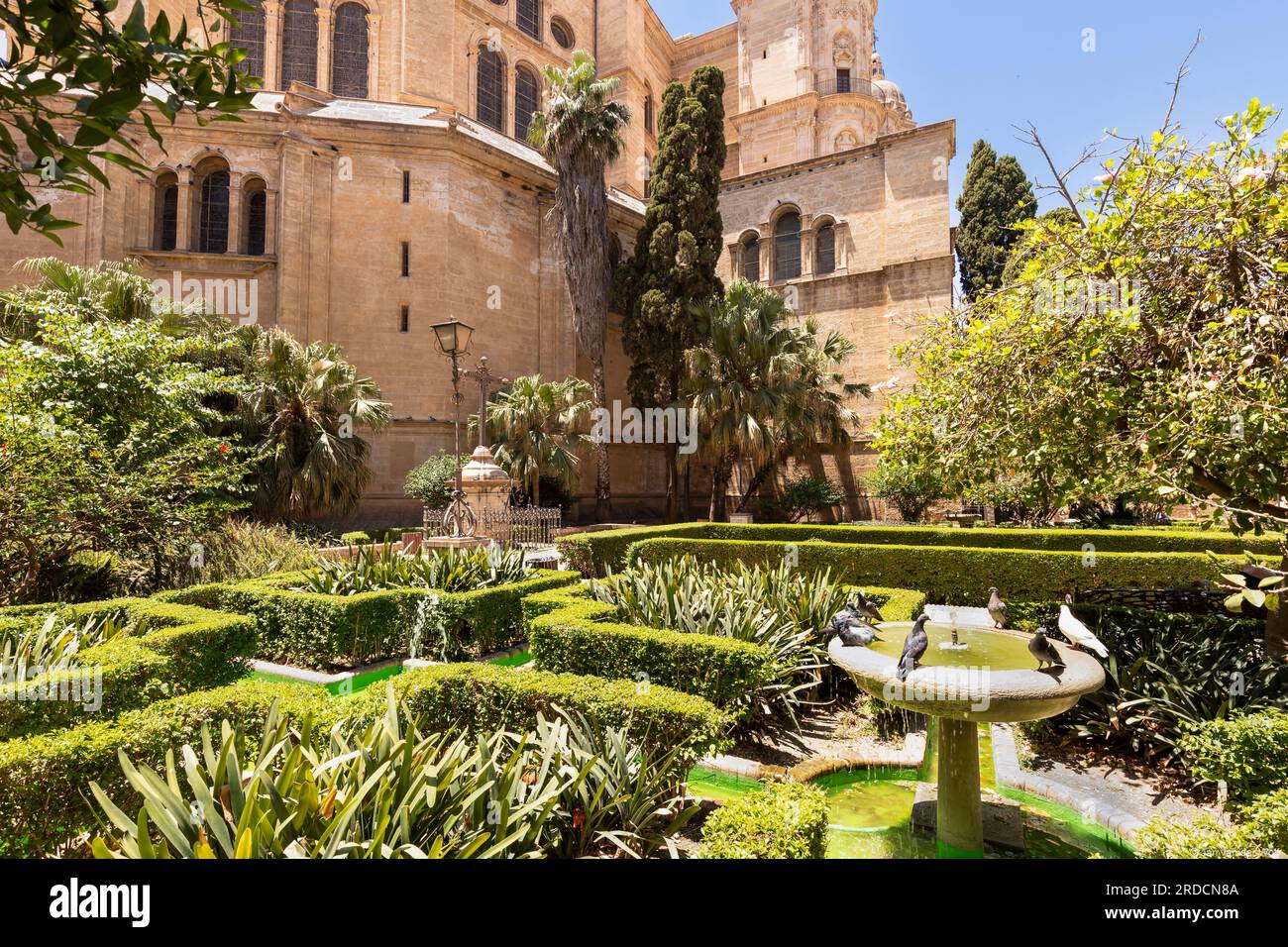 Die Gärten der Kathedrale von Málaga oder Santa Iglesia Catedral Basílica de la Encarnación, Malaga, spanien. Stockfoto
