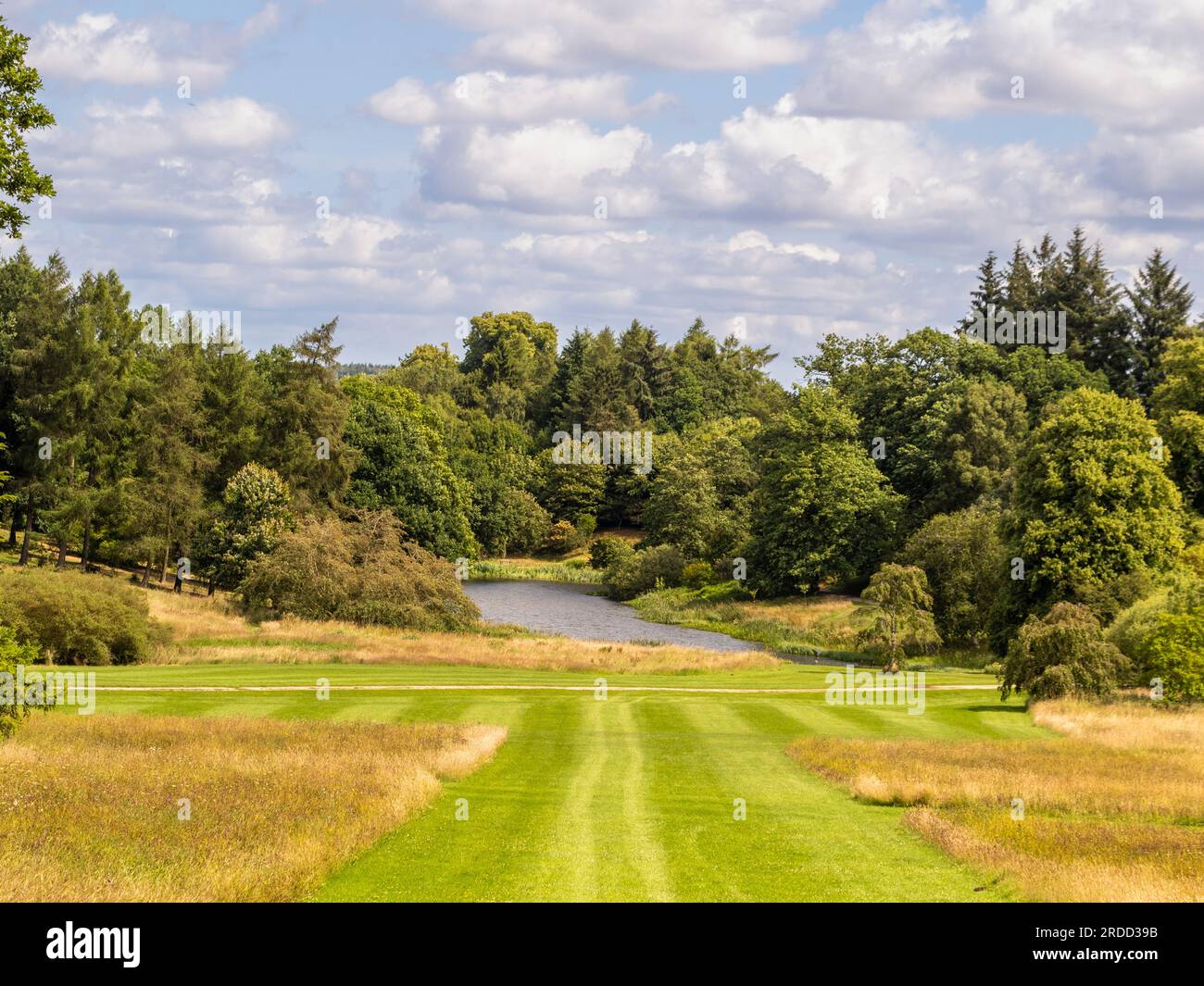 Breiter, gemähter Graspfad führt durch ungezähmtes, langes Gras zum Arboretum Lake in der Ferne. North Yorkshire. UK Stockfoto