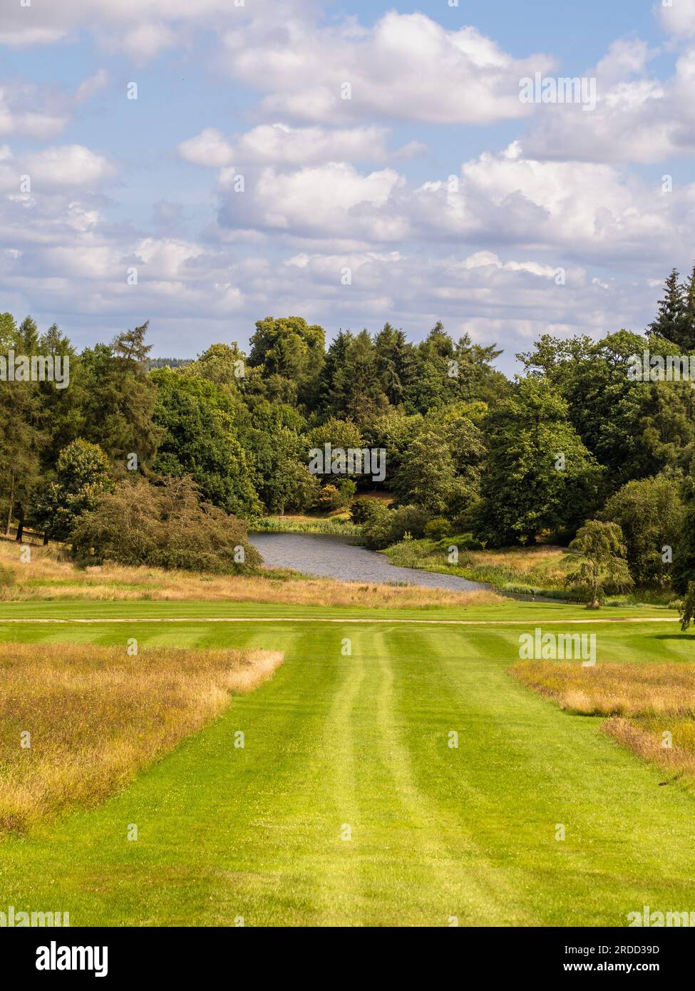 Breiter, gemähter Graspfad führt durch ungezähmtes, langes Gras zum Arboretum Lake in der Ferne. North Yorkshire. UK Stockfoto