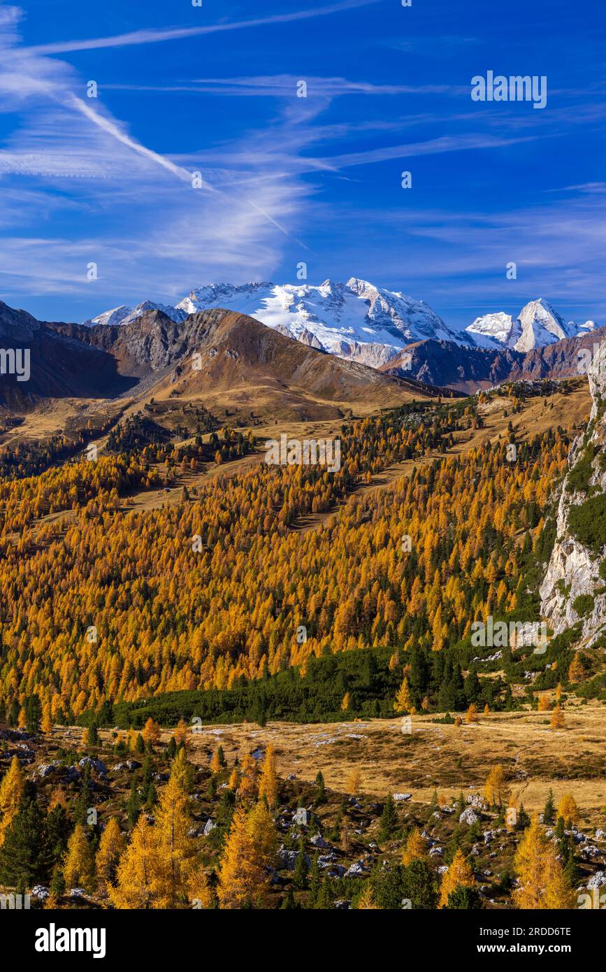 Landschaft in der Nähe von Livinallongo del Col di Lana und Valparola Pass, Dolomitenalpen, Südtirol, Italien Stockfoto