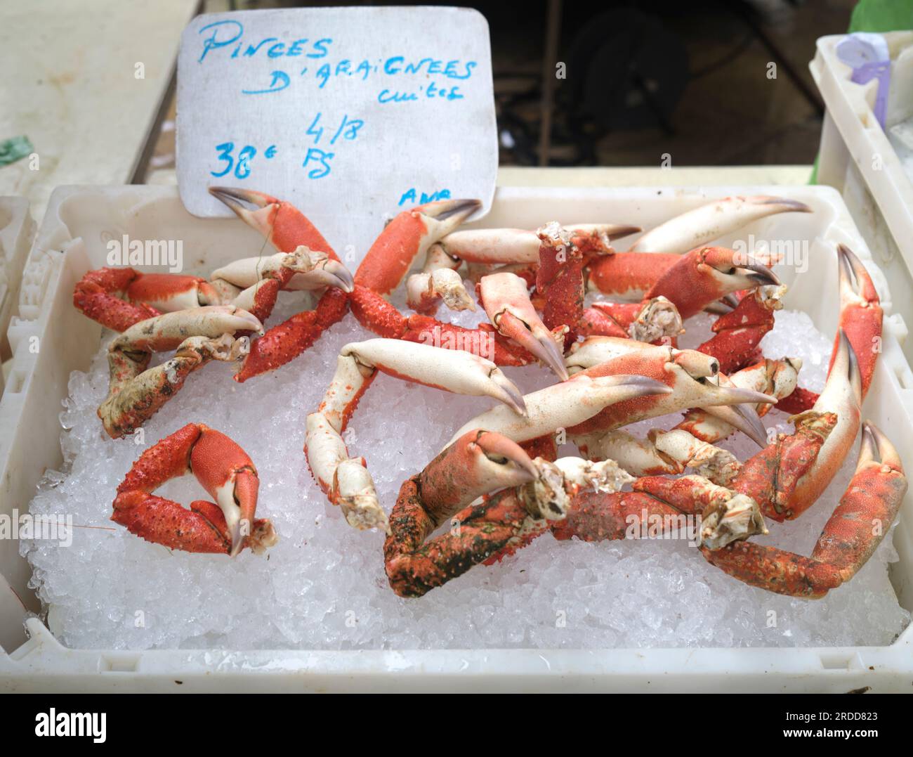 Meeresfrüchte werden auf dem Markt in Aix en Provence Frankreich verkauft Stockfoto