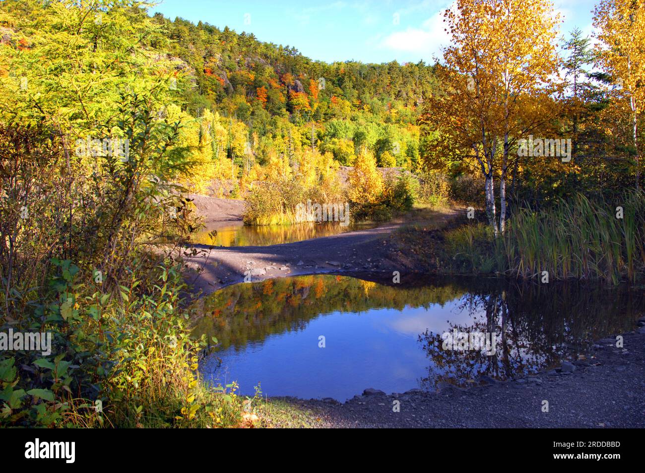 Der Herbst spiegelt sich in den Wasserbecken und Bergbauabfällen der Cliff Mine in Upper Penninsula, Michigan, wider. Copper Mine im Kupferbezirk Michigan von Stockfoto