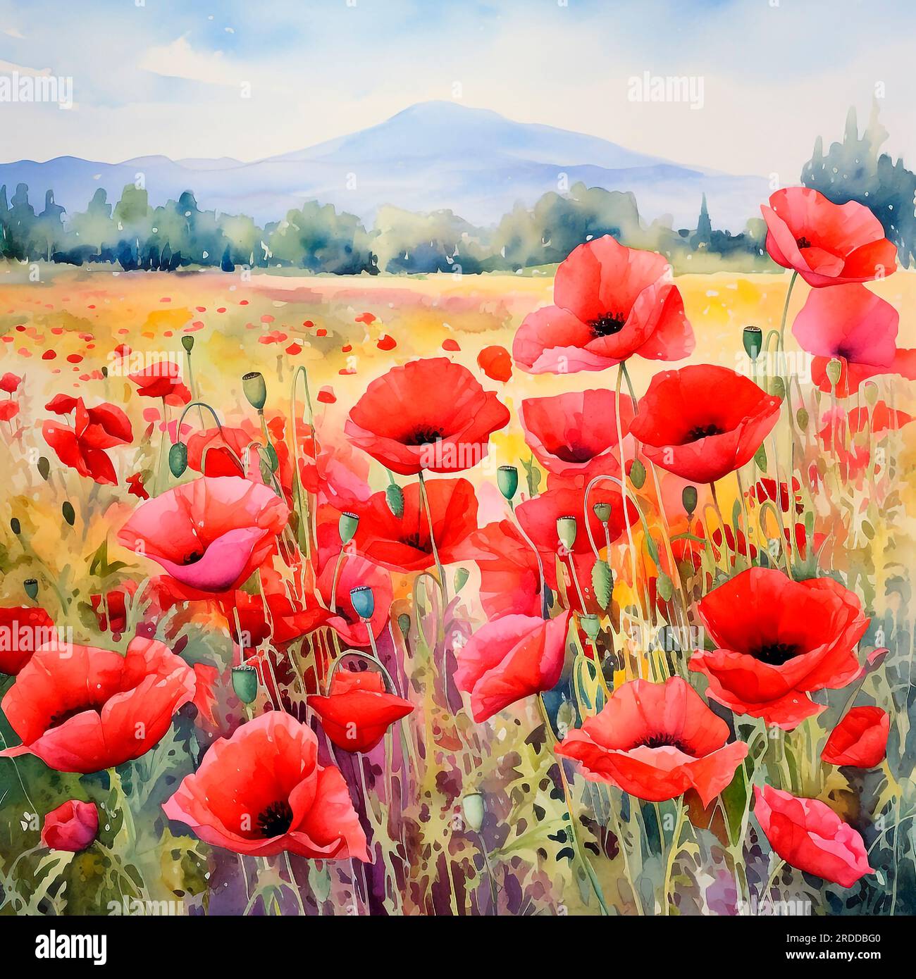 Landschaft mit farbenfrohem blühenden roten Mohnfeld in der Toskana, Italien. Stellen Sie sich ein Gemälde mit Aquarellen aus Acrylöl auf Leinwand aus Papier vor. Stockfoto
