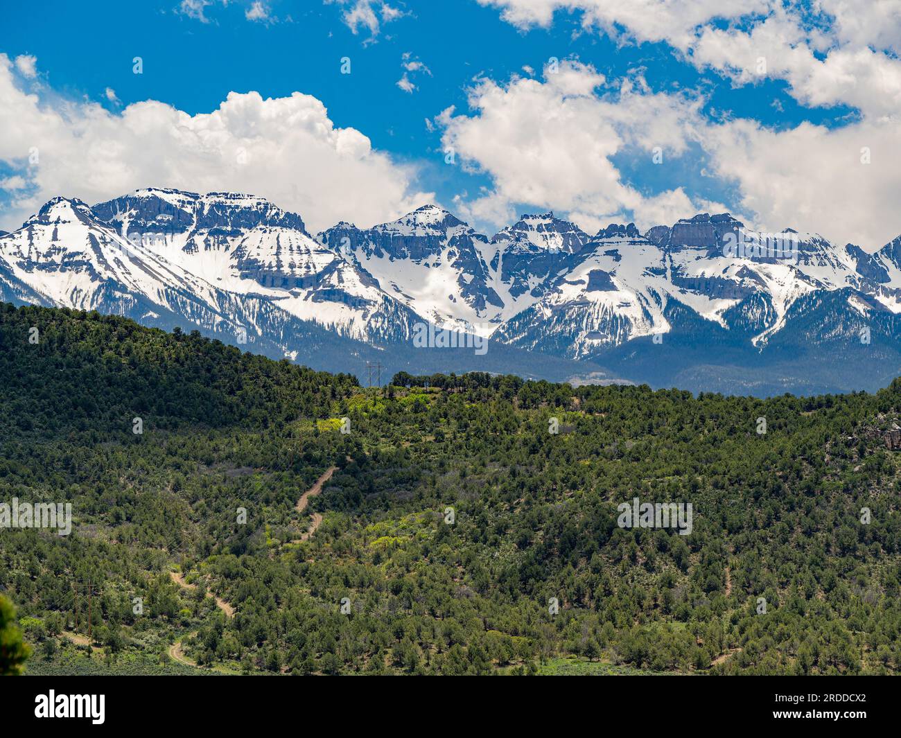 Sonniger Blick auf die Landschaft des Ridgway State Park in Colorado Stockfoto