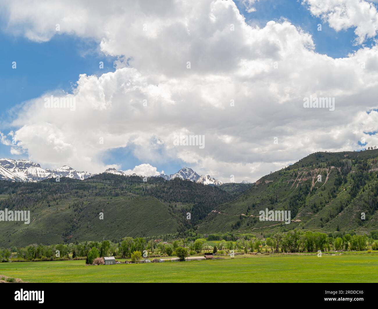 Sonniger Blick auf die Landschaft des Ridgway State Park in Colorado Stockfoto