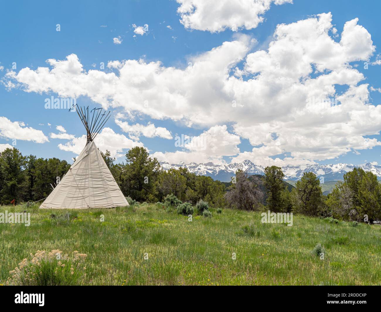 Sonniger Blick auf die Landschaft des Ridgway State Park in Colorado Stockfoto