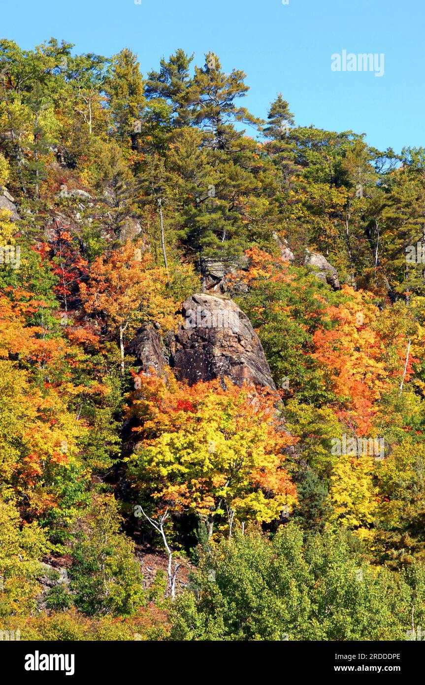 Herbstfarben am Hügel rund um die Cliff Mine in Upper Penninsula, Michigan. Stockfoto