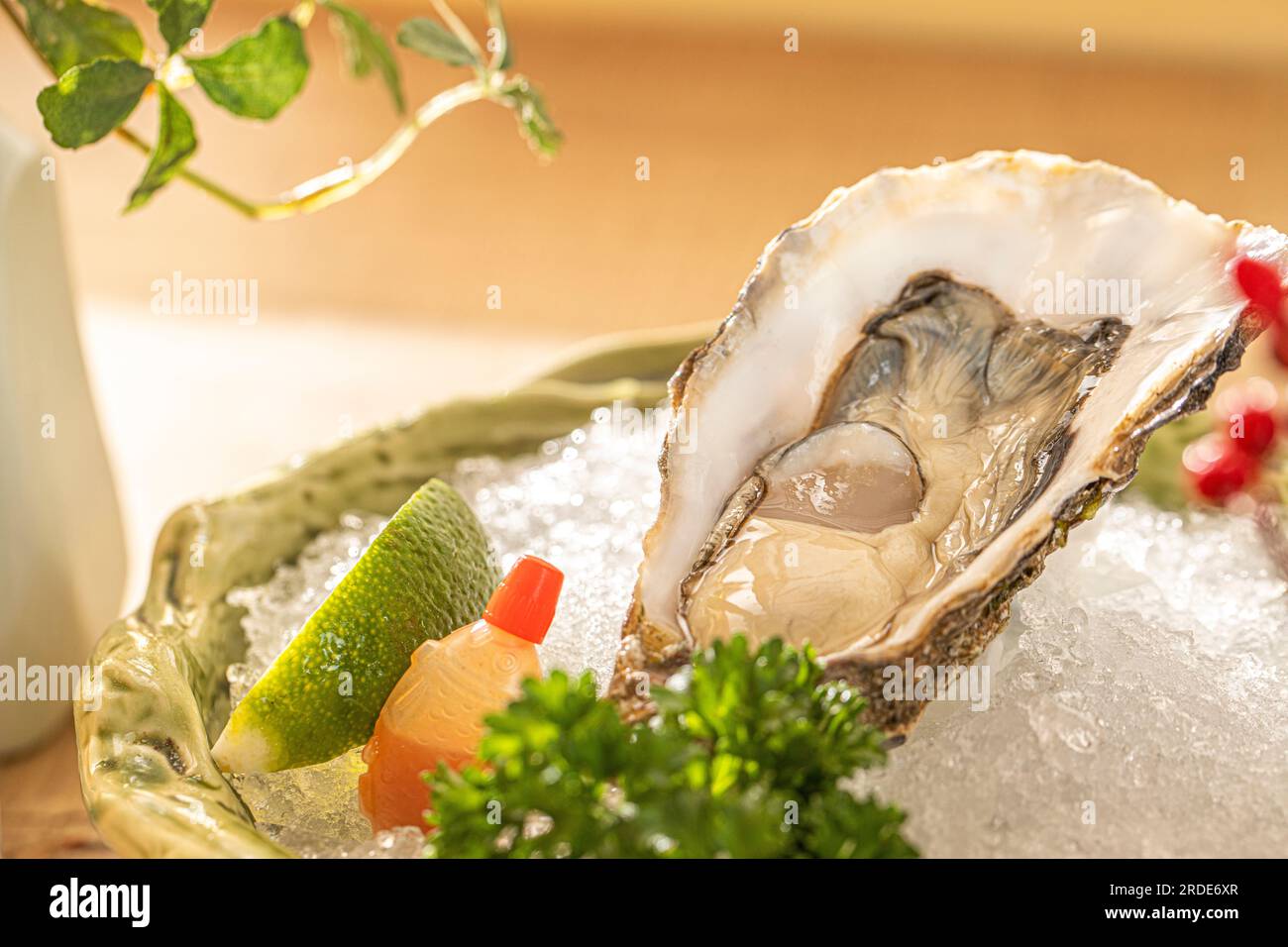 oyster Sashimi, Premium Japanese Oyster - Miyagi Oyster, japanische Küche. Stockfoto