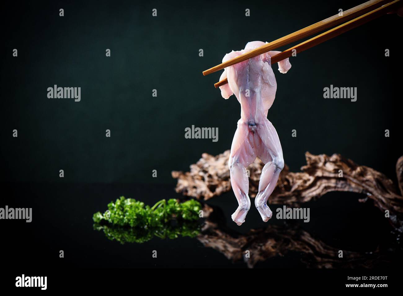 Frischer roher Bullfrog für heiße Töpfe Stockfoto