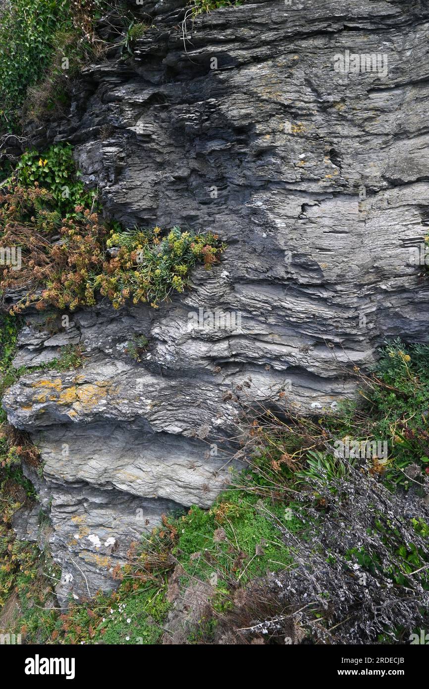 Schichten von Schiefergestein Stockfoto