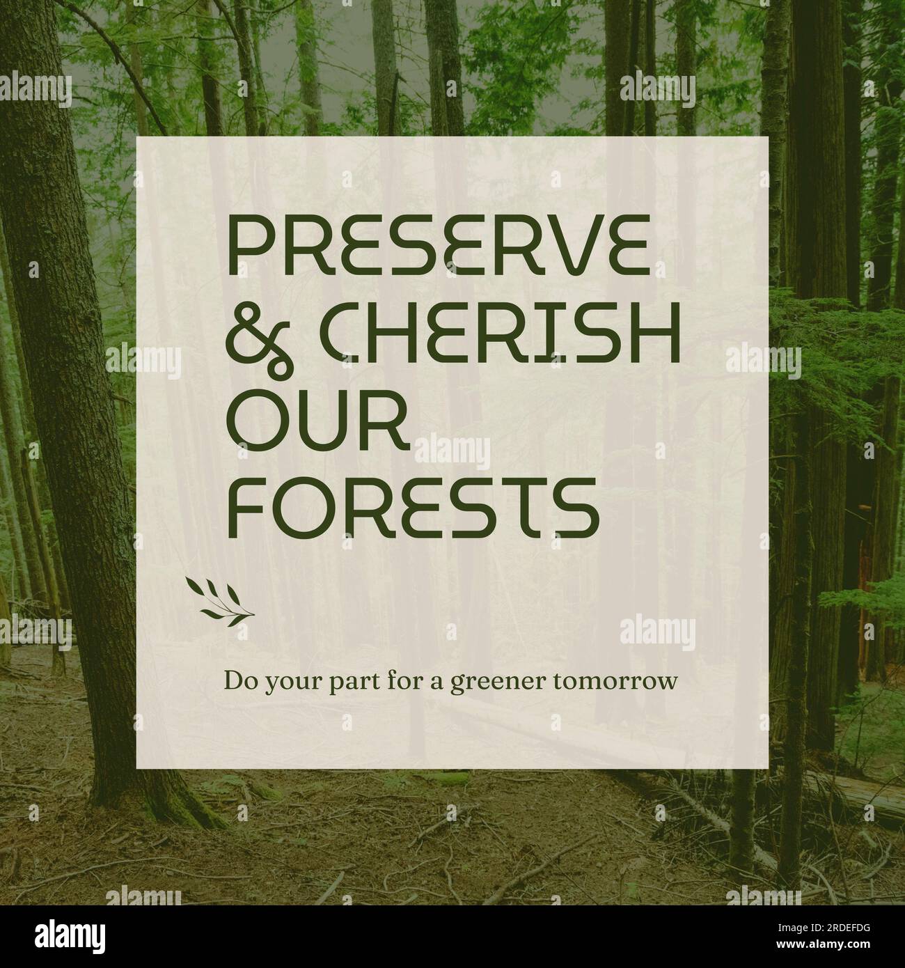 Composite aus „Unsere Wälder schützen und pflegen“ Text über dem Waldhintergrund Stockfoto