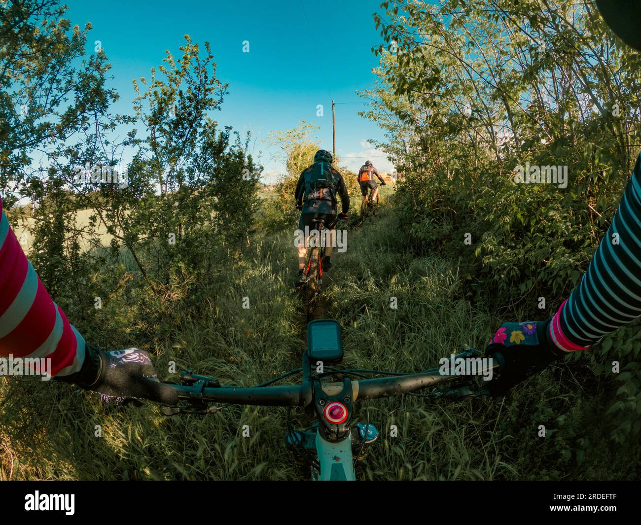 Mit einem Mountainbike auf einer einzigen Waldstrecke Stockfoto