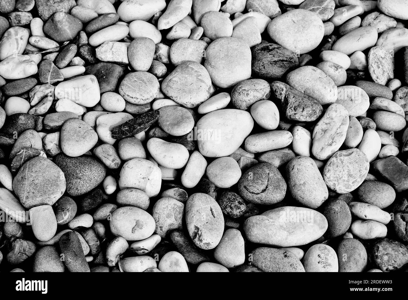 Kieselsteine am Strand Stockfoto