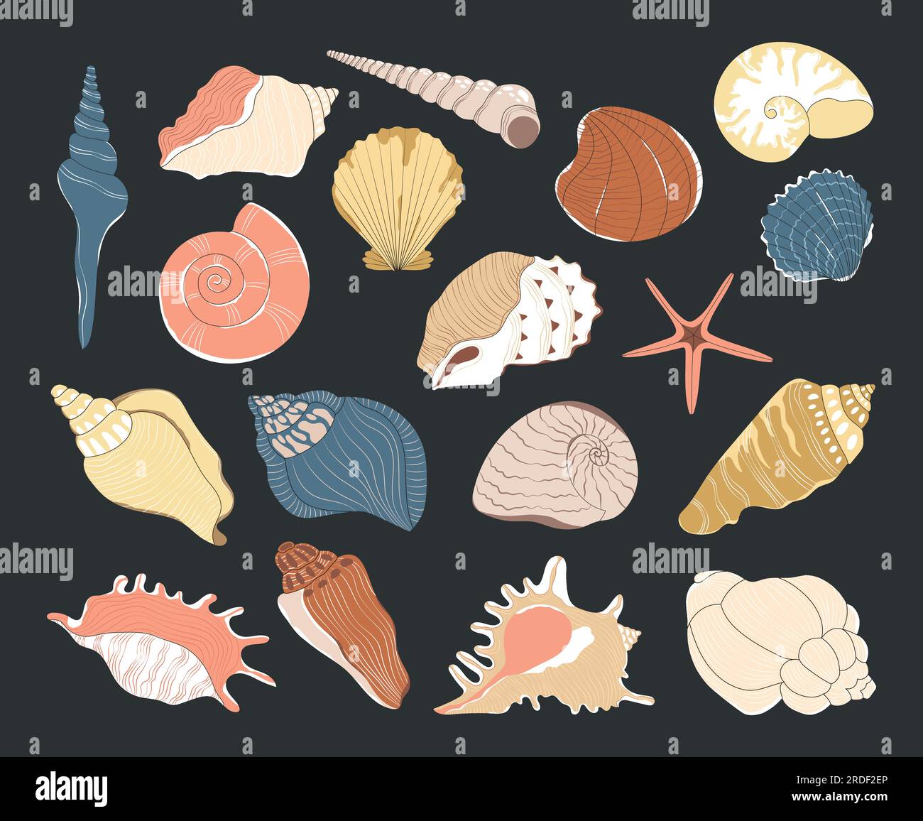 Cartoon-Korallen und Muscheln, Algenelemente. Stock Vektor