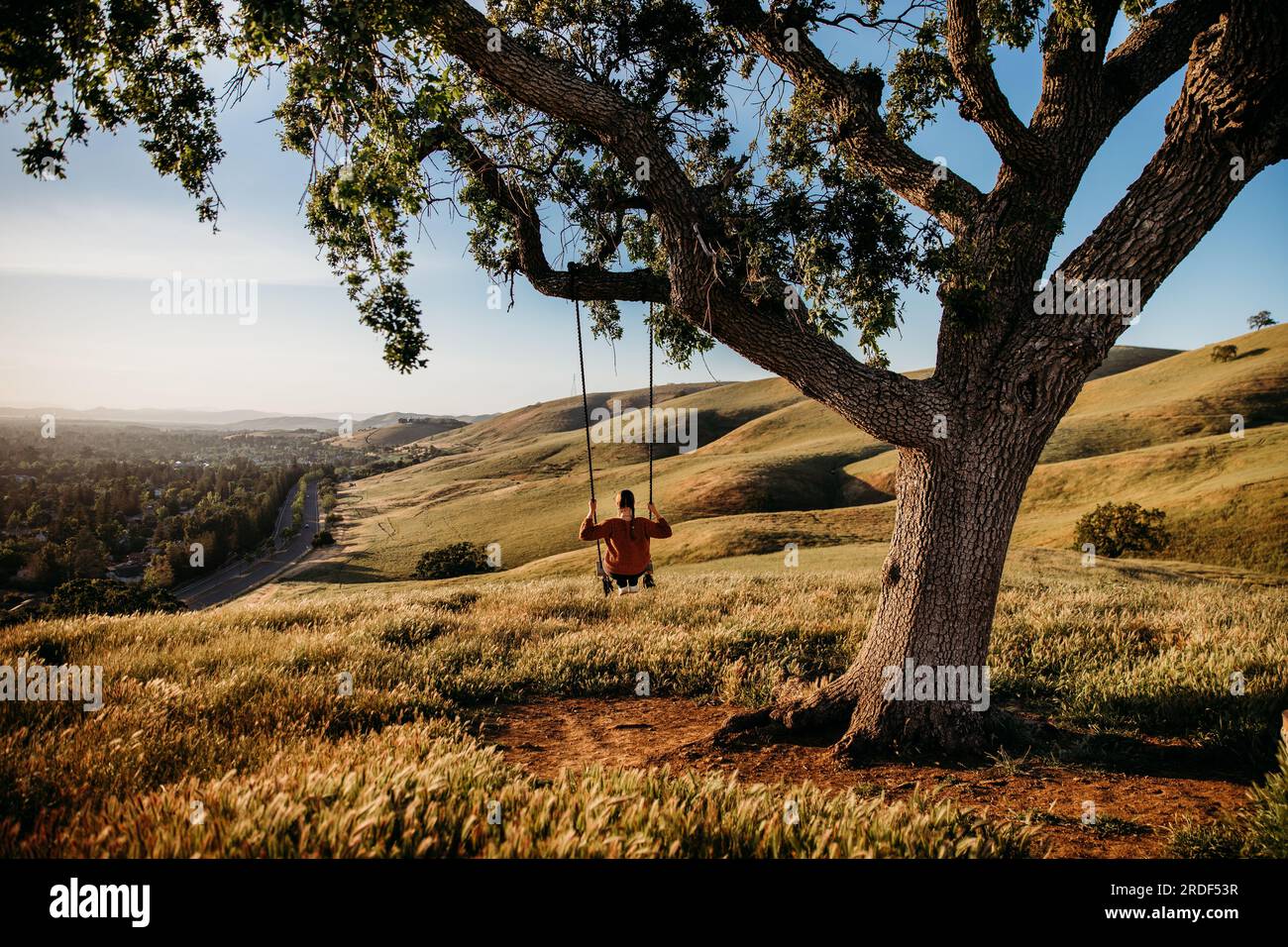 Junge Frau auf Baumschaukel in sanften grünen Hügeln Stockfoto
