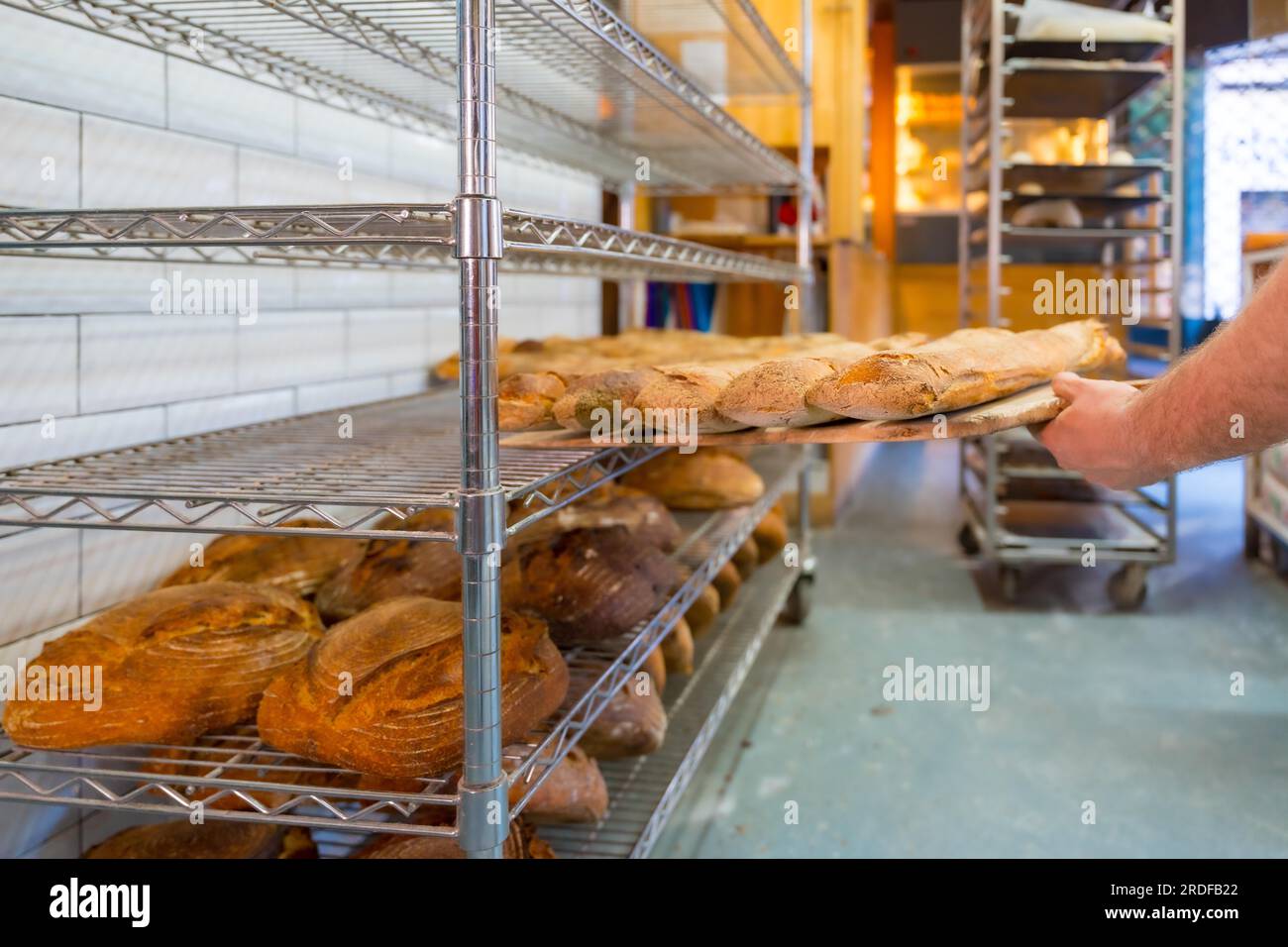 Bäckerei in der Kunsthandwerkstatt, die die Brotlaibe des Ofens auf die Regale stellt Stockfoto