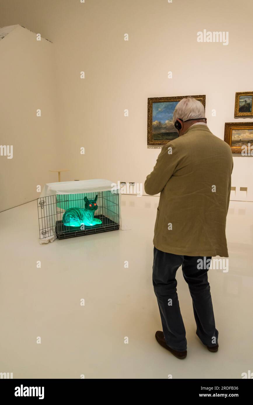 Ein älterer Mann, der ein Foto einer zeitgenössischen Installation macht, Royal Museum of Fine Arts, Antwerpen, Belgien Stockfoto