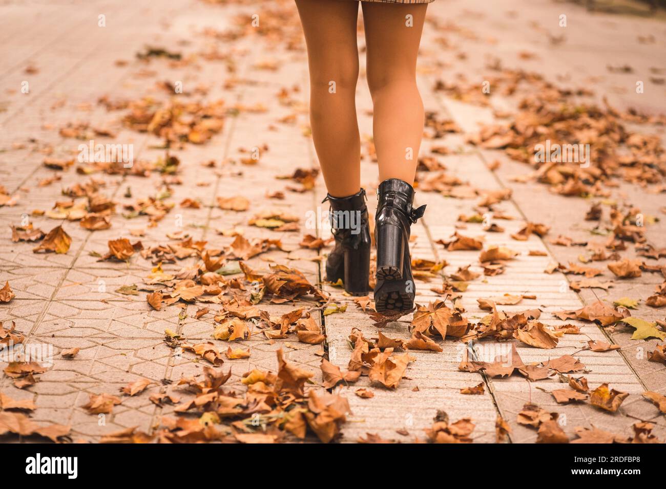 Füße einer Frau mit Absätzen im Herbst in einem Park mit braunen Blättern auf dem Boden Stockfoto