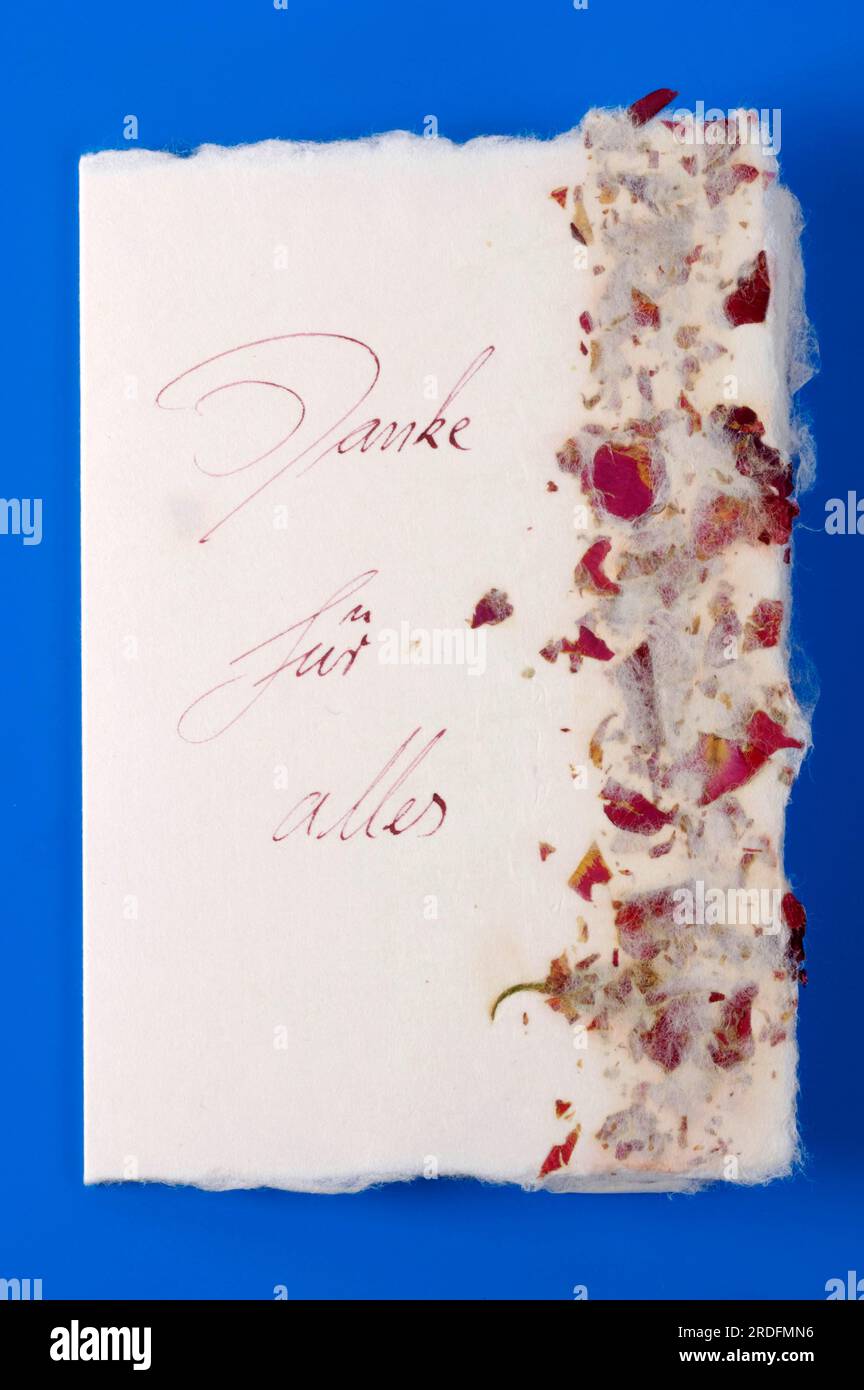 Karte mit Dankesschreiben „Danke für alles“, Ausschneiden, Objekt Stockfoto