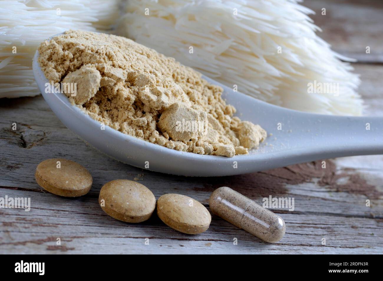 Als Pulver, Kapseln und Tabletten, Igel-Spiny-Bart (Hericium erinaceus), TCM Stockfoto