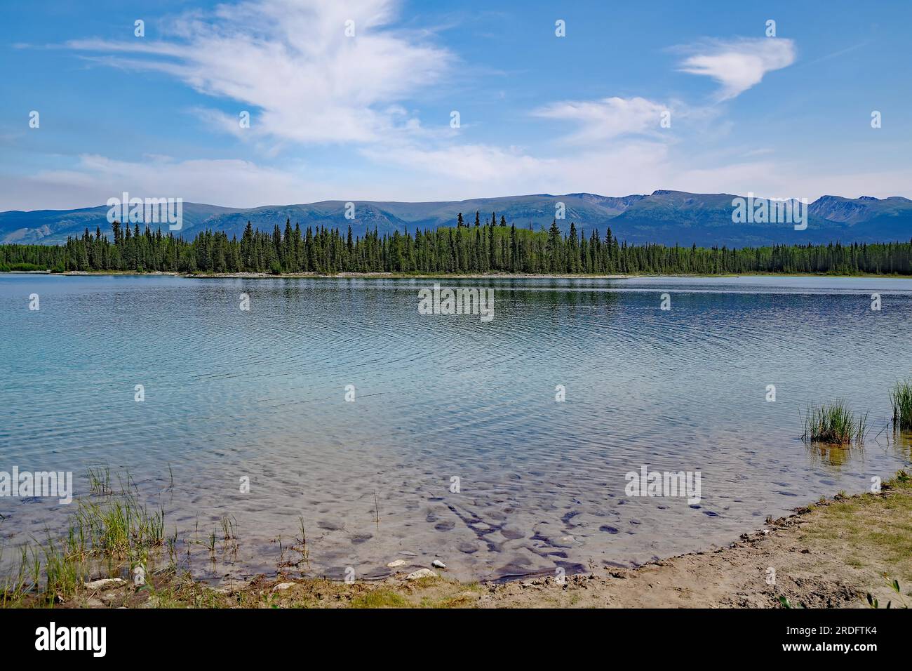 Transparent Clear Lake, Boya Provincial Park, Stewart Cessiar Highway, HW 37, British Columbia, Kanada Stockfoto