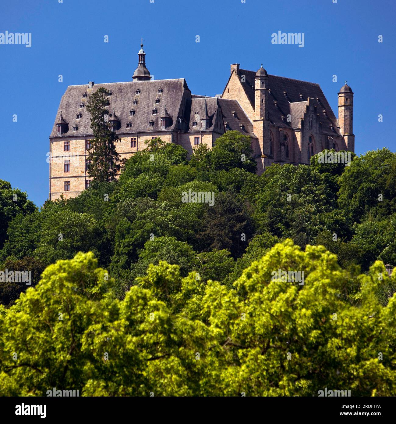 Schloss Landgrave am Schlossberg, Marburg an der Lahn, Hessen, Deutschland Stockfoto
