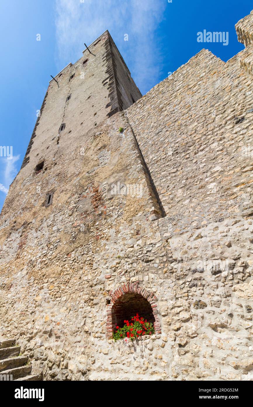 Steinmauer und Turm von Kinizsi var (Schloss Kinizsi) stammen aus dem späten 14. Jahrhundert, Nagyvazsony, Ungarn Stockfoto