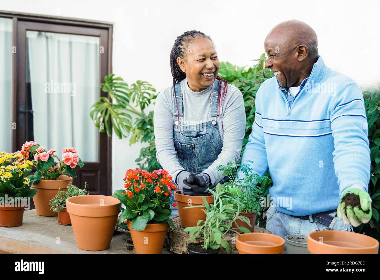 Afrikanische Senioren mit Blumen im Hinterhofhaus - das Hobby-Konzept der Paare Stockfoto